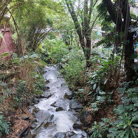 Yolo Hostel Medellín Dış mekan fotoğraf