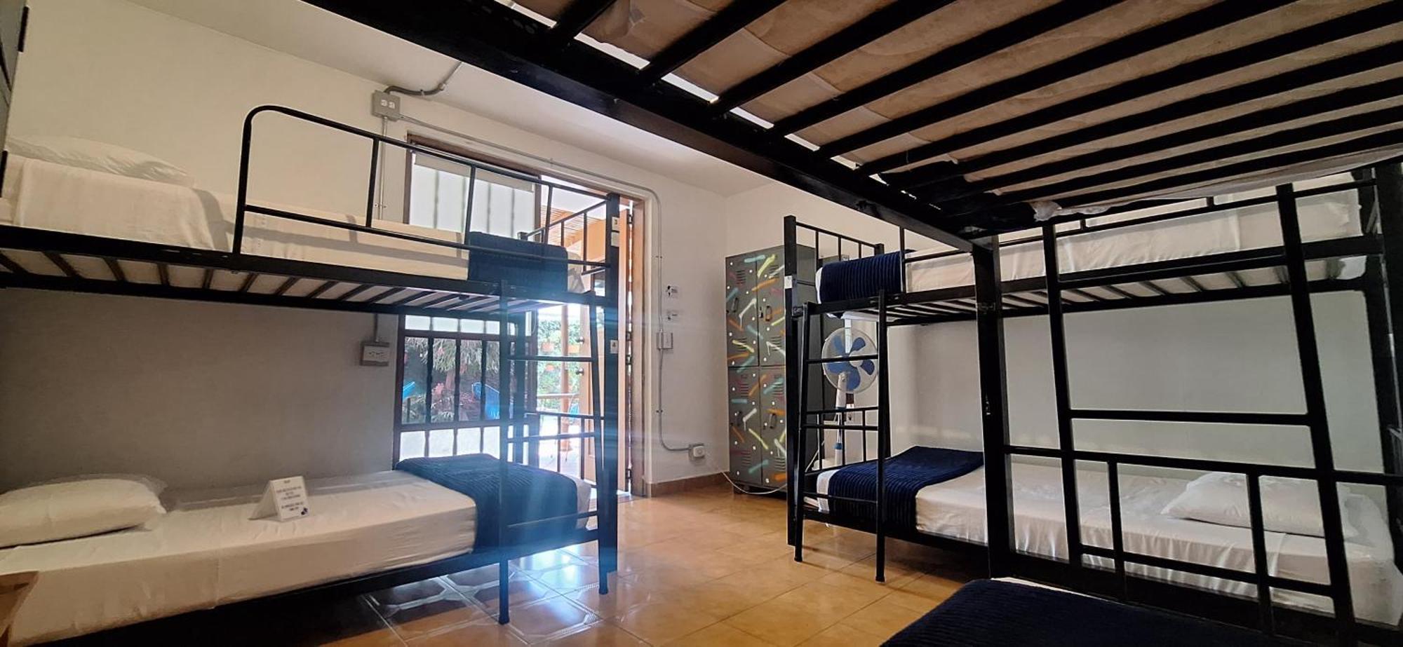 Yolo Hostel Medellín Dış mekan fotoğraf