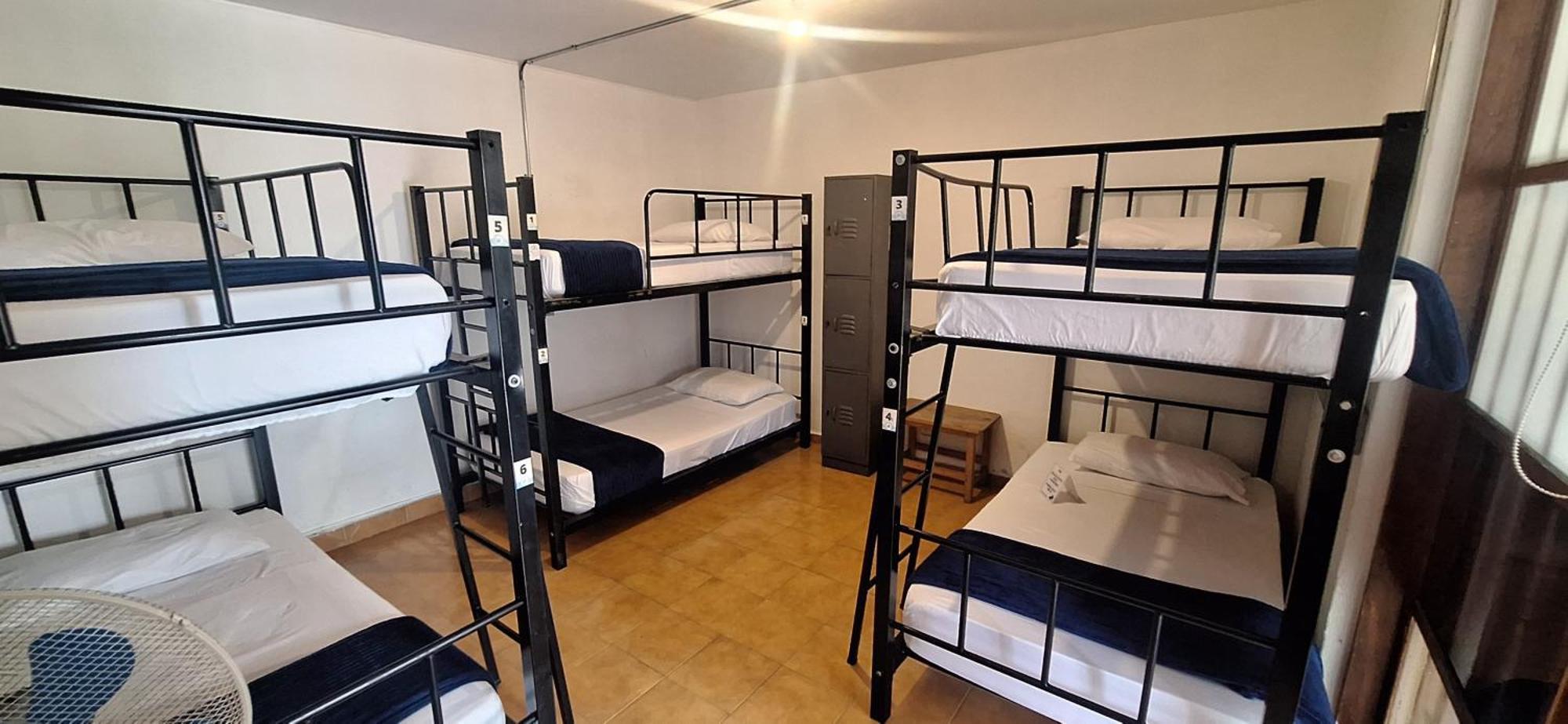 Yolo Hostel Medellín Dış mekan fotoğraf