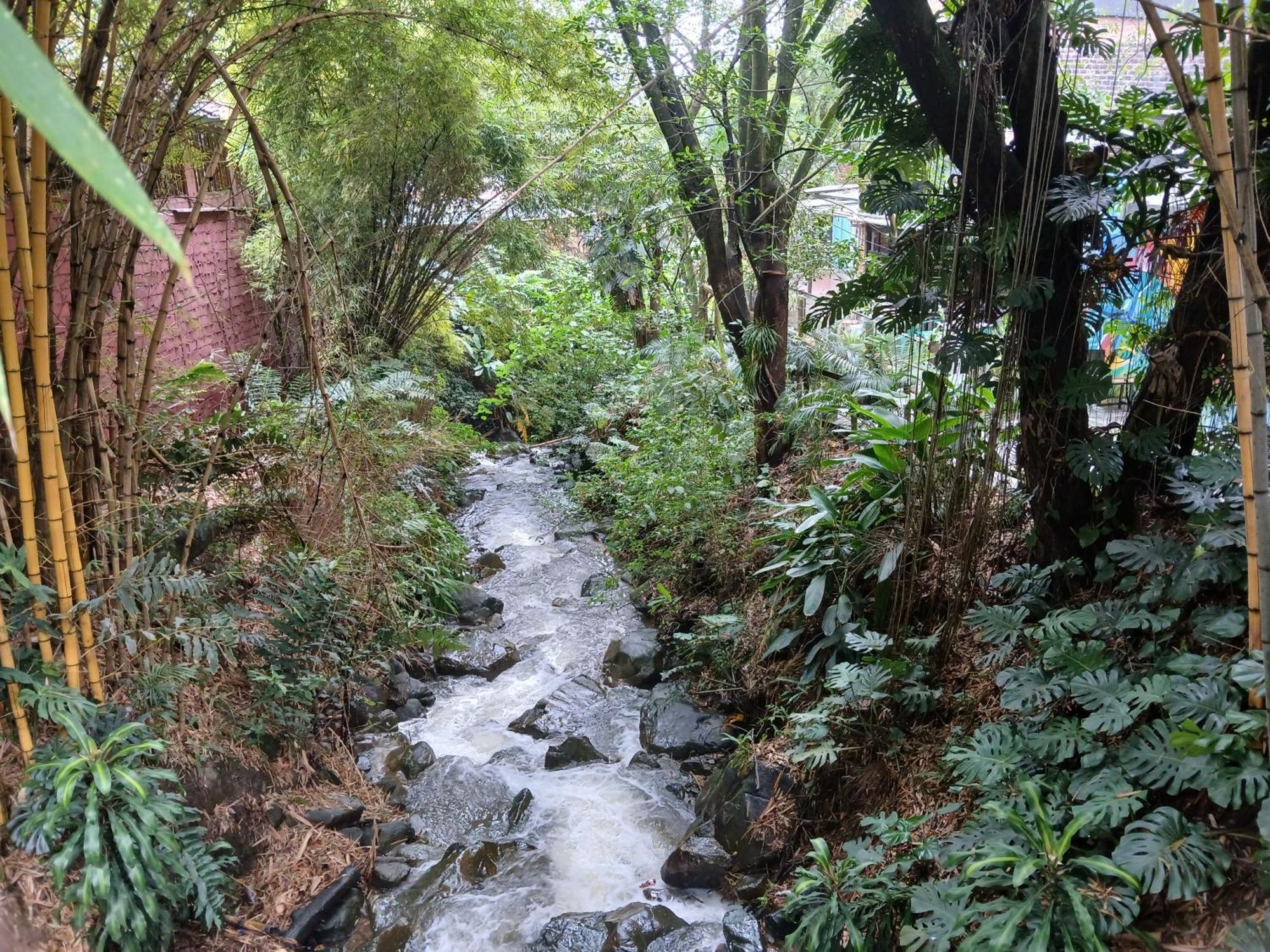 Yolo Hostel Medellín Dış mekan fotoğraf